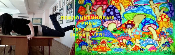 гашиш Бородино