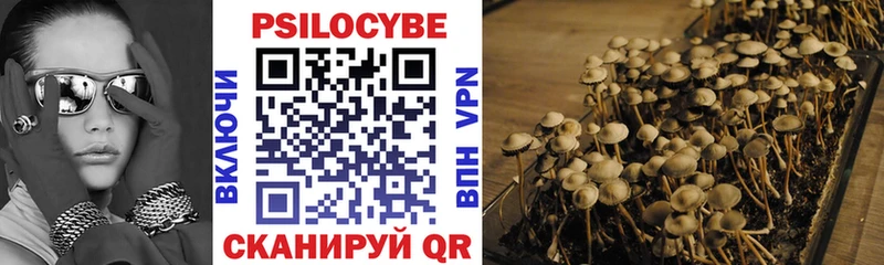 hydra tor  Чкаловск  Галлюциногенные грибы Psilocybine cubensis 