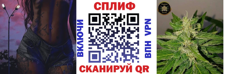 продажа наркотиков  Чкаловск  Канабис семена 